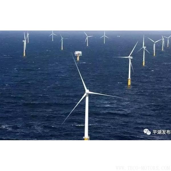 【電廠】嘉興規(guī)模最大的海上風(fēng)電項(xiàng)目將在平湖動(dòng)工建設(shè) 行業(yè)資訊 第2張