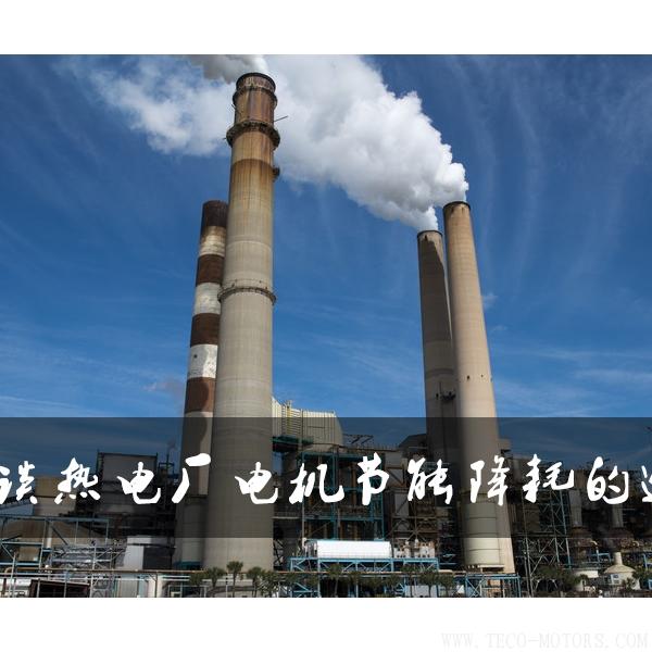 淺談熱電廠電機節(jié)能降耗的途徑 電機知識 第1張