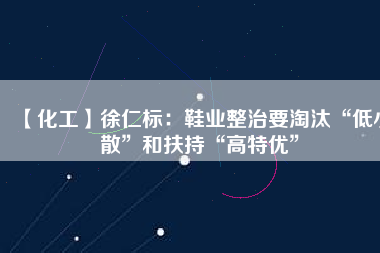 【化工】徐仁標(biāo)：鞋業(yè)整治要淘汰“低小散”和扶持“高特優(yōu)”