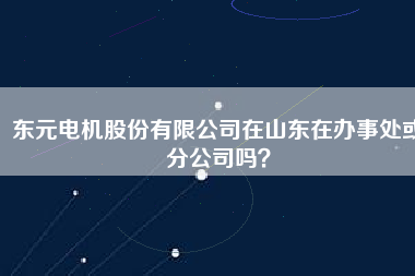 東元電機股份有限公司在山東在辦事處或分公司嗎？