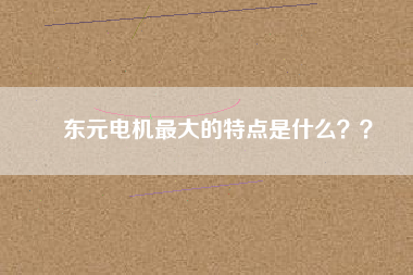 東元電機(jī)最大的特點(diǎn)是什么？？