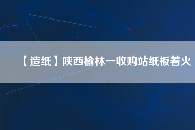 【造紙】陜西榆林一收購站紙板著火