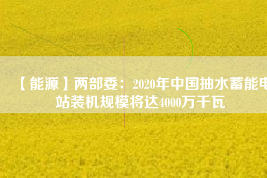 【能源】?jī)刹课?020年中國(guó)抽水蓄能電站裝機(jī)規(guī)模將達(dá)4000萬(wàn)千瓦