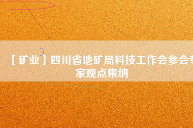 【礦業(yè)】四川省地礦局科技工作會(huì)參會(huì)專(zhuān)家觀點(diǎn)集納