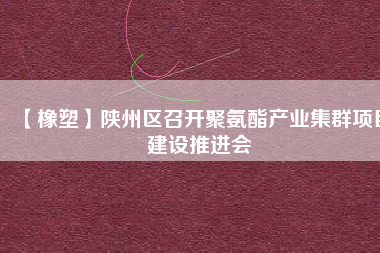 【橡塑】陜州區(qū)召開聚氨酯產(chǎn)業(yè)集群項目建設(shè)推進會