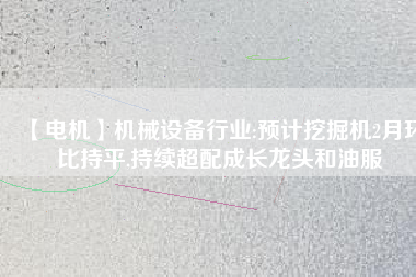 【電機】機械設備行業(yè):預計挖掘機2月環(huán)比持平,持續(xù)超配成長龍頭和油服
          