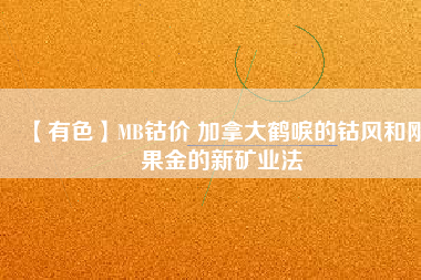 【有色】MB鈷價 加拿大鶴唳的鈷風和剛果金的新礦業(yè)法