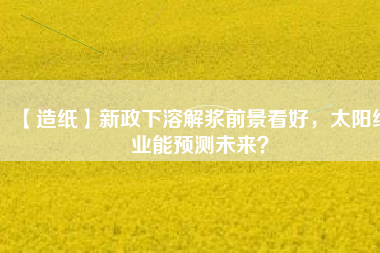 【造紙】新政下溶解漿前景看好，太陽紙業(yè)能預測未來？