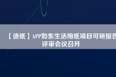 【造紙】APP如東生活用紙項(xiàng)目可研報(bào)告評審會議召開