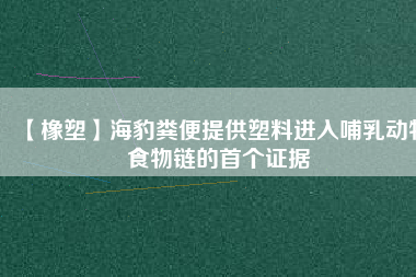 【橡塑】海豹糞便提供塑料進(jìn)入哺乳動(dòng)物食物鏈的首個(gè)證據(jù)