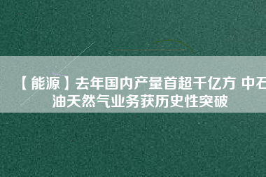 【能源】去年國(guó)內(nèi)產(chǎn)量首超千億方 中石油天然氣業(yè)務(wù)獲歷史性突破