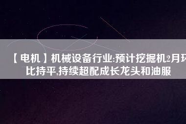 【電機】機械設備行業(yè):預計挖掘機2月環(huán)比持平,持續(xù)超配成長龍頭和油服
          