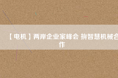 【電機】兩岸企業(yè)家峰會 拚智慧機械合作
          