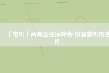 【電機】兩岸企業(yè)家峰會 拚智慧機械合作
          