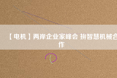 【電機】兩岸企業(yè)家峰會 拚智慧機械合作
          