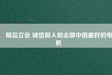 精品立業(yè) 誠信做人勵志做中國最好的電機
          