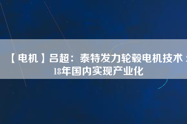 【電機】呂超：泰特發(fā)力輪轂電機技術 2018年國內(nèi)實現(xiàn)產(chǎn)業(yè)化
          