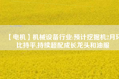 【電機】機械設備行業(yè):預計挖掘機2月環(huán)比持平,持續(xù)超配成長龍頭和油服
          