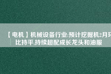 【電機】機械設備行業(yè):預計挖掘機2月環(huán)比持平,持續(xù)超配成長龍頭和油服
          