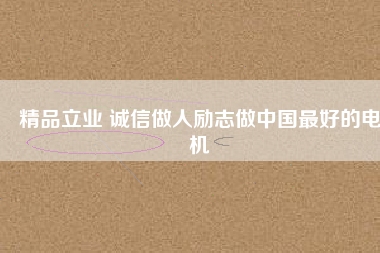 精品立業(yè) 誠信做人勵志做中國最好的電機
          