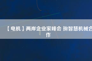 【電機】兩岸企業(yè)家峰會 拚智慧機械合作
          