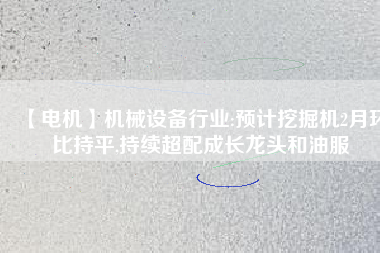 【電機】機械設備行業(yè):預計挖掘機2月環(huán)比持平,持續(xù)超配成長龍頭和油服
          