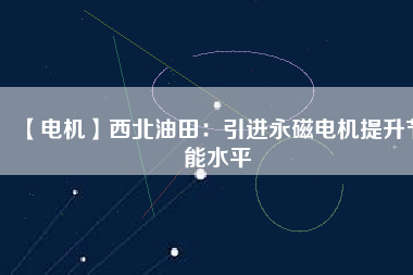 【電機(jī)】西北油田：引進(jìn)永磁電機(jī)提升節(jié)能水平
          