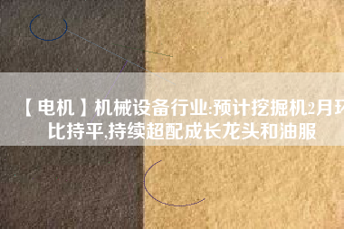 【電機】機械設備行業(yè):預計挖掘機2月環(huán)比持平,持續(xù)超配成長龍頭和油服
          