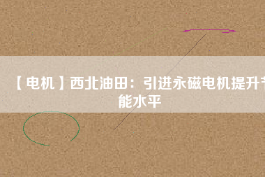 【電機(jī)】西北油田：引進(jìn)永磁電機(jī)提升節(jié)能水平
          