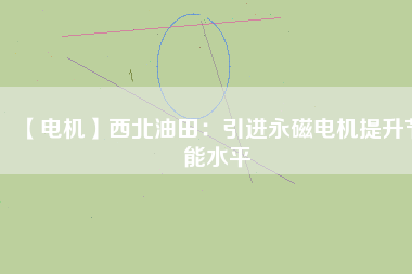 【電機(jī)】西北油田：引進(jìn)永磁電機(jī)提升節(jié)能水平
          