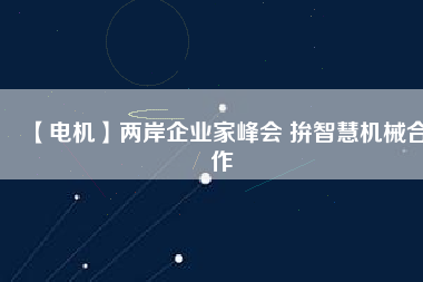 【電機】兩岸企業(yè)家峰會 拚智慧機械合作
          