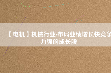 【電機(jī)】機(jī)械行業(yè):布局業(yè)績(jī)?cè)鲩L快競(jìng)爭(zhēng)力強(qiáng)的成長股
          