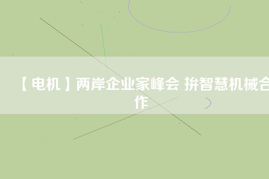 【電機】兩岸企業(yè)家峰會 拚智慧機械合作
          