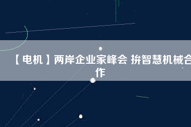 【電機】兩岸企業(yè)家峰會 拚智慧機械合作
          