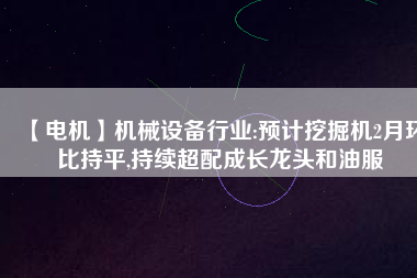 【電機】機械設備行業(yè):預計挖掘機2月環(huán)比持平,持續(xù)超配成長龍頭和油服
          