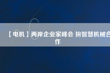 【電機】兩岸企業(yè)家峰會 拚智慧機械合作
          