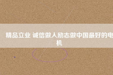 精品立業(yè) 誠信做人勵志做中國最好的電機
          