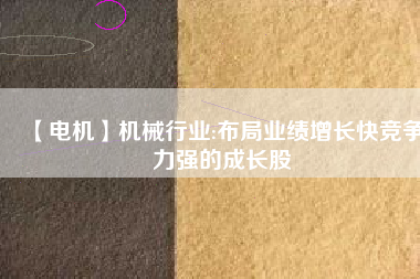 【電機(jī)】機(jī)械行業(yè):布局業(yè)績(jī)?cè)鲩L快競(jìng)爭(zhēng)力強(qiáng)的成長股
          