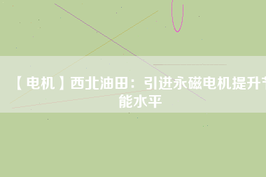 【電機(jī)】西北油田：引進(jìn)永磁電機(jī)提升節(jié)能水平
          