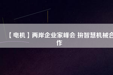 【電機】兩岸企業(yè)家峰會 拚智慧機械合作
          