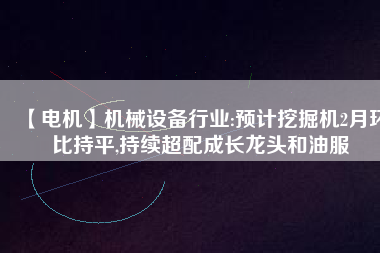 【電機】機械設備行業(yè):預計挖掘機2月環(huán)比持平,持續(xù)超配成長龍頭和油服
          