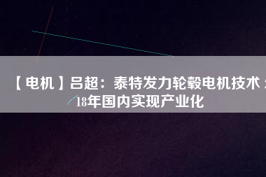 【電機】呂超：泰特發(fā)力輪轂電機技術 2018年國內(nèi)實現(xiàn)產(chǎn)業(yè)化
          