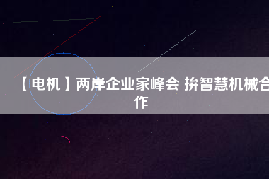 【電機】兩岸企業(yè)家峰會 拚智慧機械合作
          