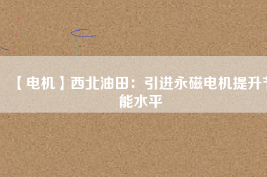 【電機(jī)】西北油田：引進(jìn)永磁電機(jī)提升節(jié)能水平
          