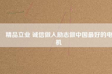 精品立業(yè) 誠信做人勵志做中國最好的電機
          