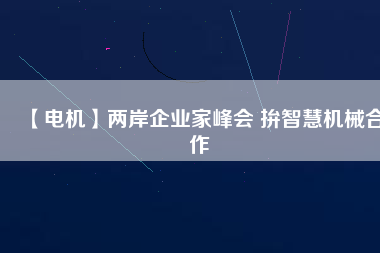 【電機】兩岸企業(yè)家峰會 拚智慧機械合作
          