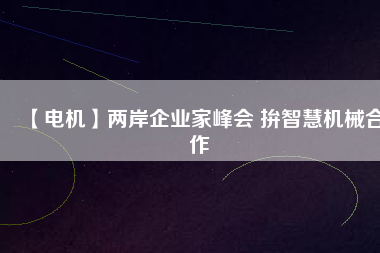 【電機】兩岸企業(yè)家峰會 拚智慧機械合作
          