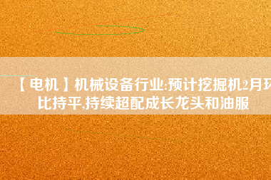 【電機】機械設備行業(yè):預計挖掘機2月環(huán)比持平,持續(xù)超配成長龍頭和油服
          