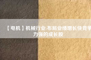 【電機(jī)】機(jī)械行業(yè):布局業(yè)績(jī)?cè)鲩L快競(jìng)爭(zhēng)力強(qiáng)的成長股
          