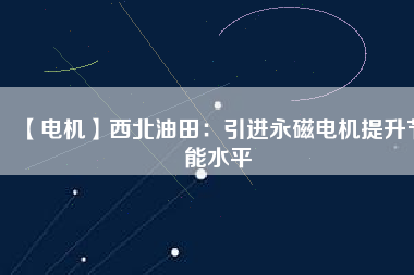 【電機(jī)】西北油田：引進(jìn)永磁電機(jī)提升節(jié)能水平
          